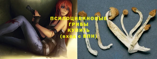 не бодяженный Абаза