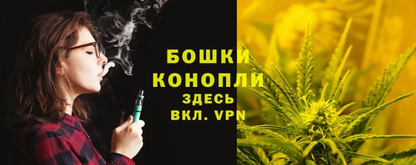 индика Мегион
