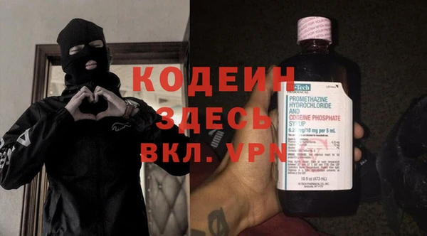 индика Ижевск