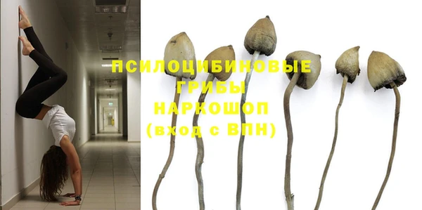 индика Мегион