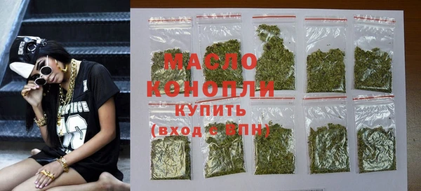 индика Мегион