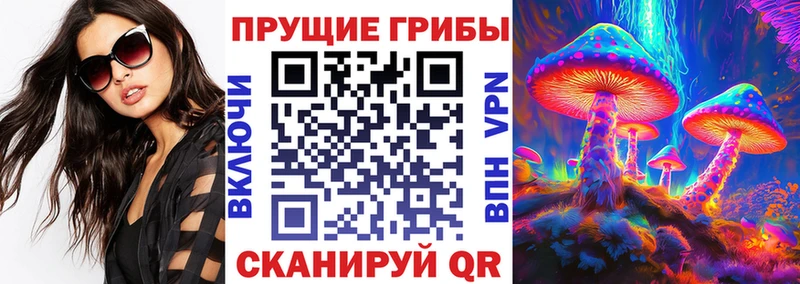 сколько стоит  Нижняя Тура  Псилоцибиновые грибы GOLDEN TEACHER 